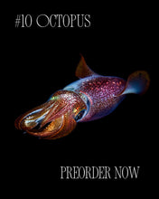 Indlæs billede til gallerivisning Sock-set of October: Octopus