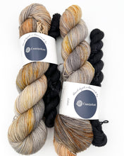 Indlæs billede til gallerivisning Merino Sock-Set: Tennessee Warbler