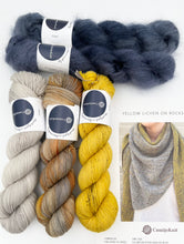 Load image into Gallery viewer, Kit: Yellow Lichen on Rocks: Grey-Yellow + Blue