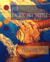 Indlæs billede til gallerivisning Sock-set of February: Pacific Sea Nettle