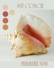 Indlæs billede til gallerivisning Sock-set of July: Conch