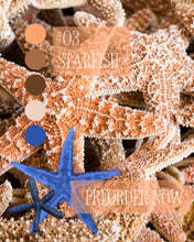 Indlæs billede til gallerivisning Sock-set of March: Starfish