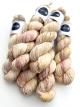 Indlæs billede til gallerivisning Camijo Single 366: Coquinas