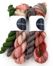 Load image into Gallery viewer, Christmas 2025 Sock-set: Home Alone
