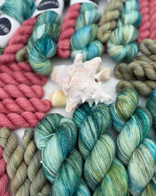 Load image into Gallery viewer, Sock-set of April: The Crab
