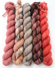 Indlæs billede til gallerivisning Mini Sock Yak: Coral
