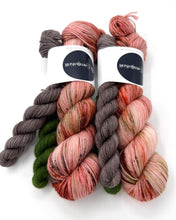 Load image into Gallery viewer, Christmas 2025 Sock-set: Home Alone
