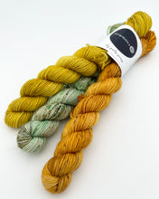 Load image into Gallery viewer, Sock Mini Set: Gold and green
