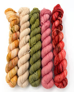 5 Merino Sock Mini: Grow
