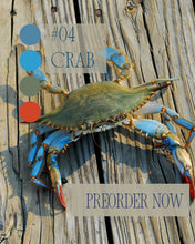Load image into Gallery viewer, Sock-set of April: The Crab

