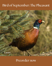 Load image into Gallery viewer, Sock-set of August: Fasanen/ The Pheasant
