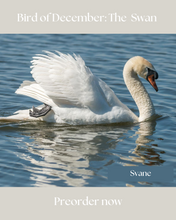 Indlæs billede til gallerivisning Sock-set of December: Svanen/ The Swan
